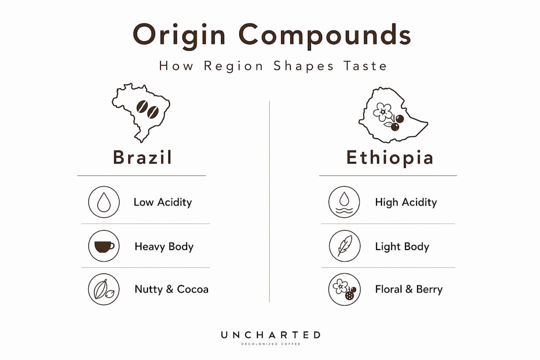 Infographic comparing origin effects on espresso flavor