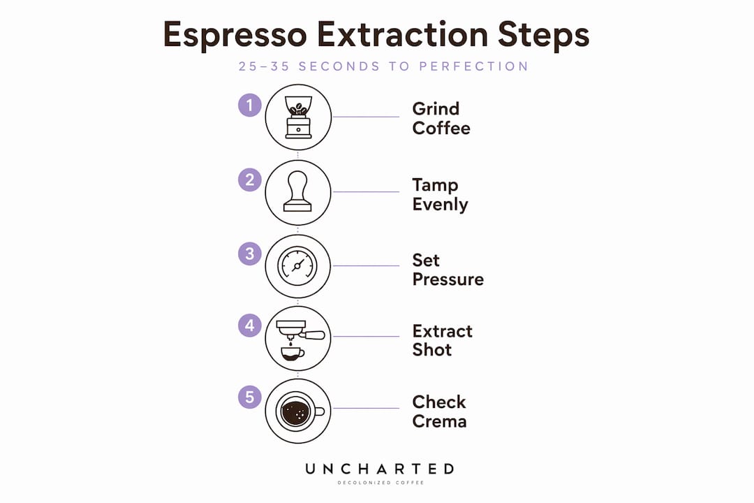 Infographic espresso extraction step-by-step
