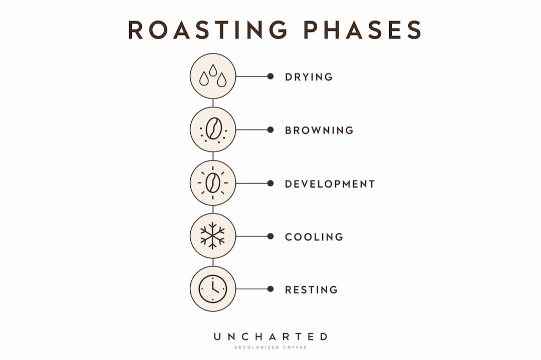 Infographic illustrating coffee roasting phases