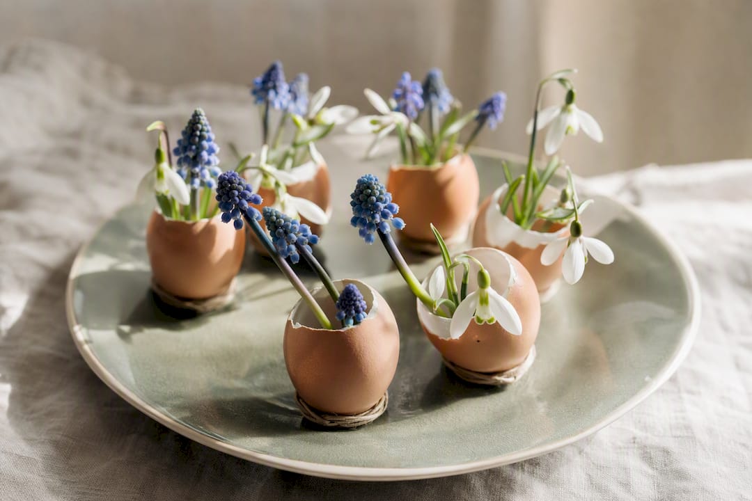 Gusci d'uovo appesi usati come mini vasi per fiori