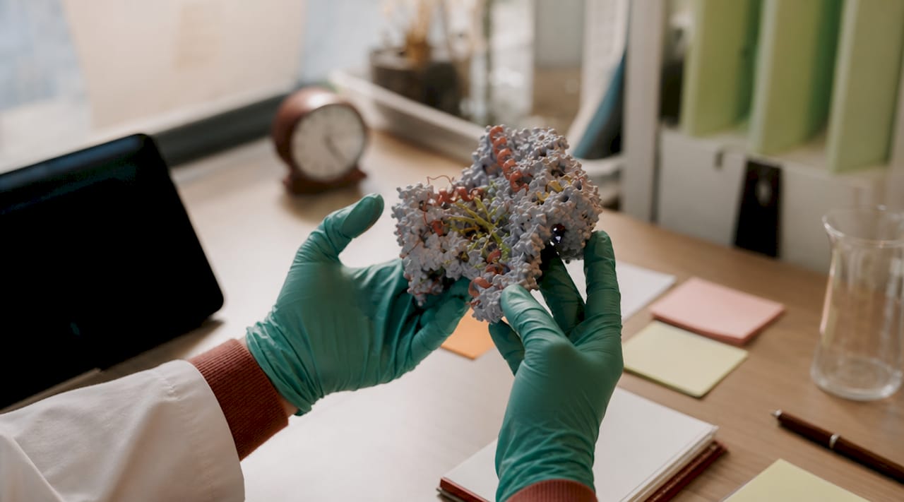 Hands holding enzyme molecular model close-up