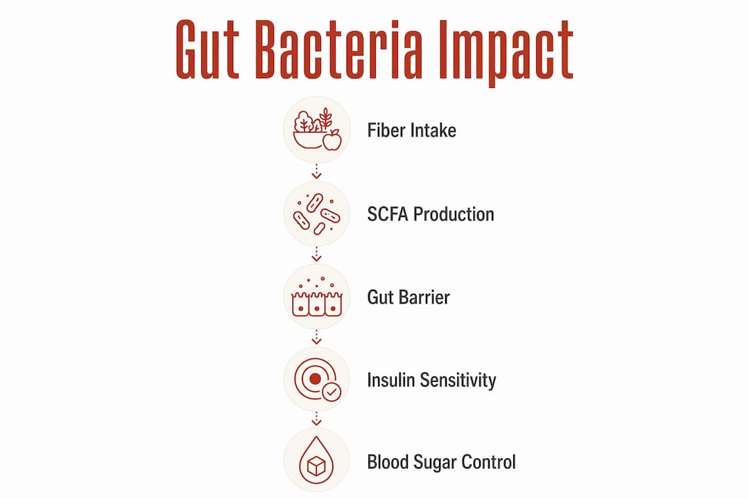 Infographic showing gut bacteria impact flow