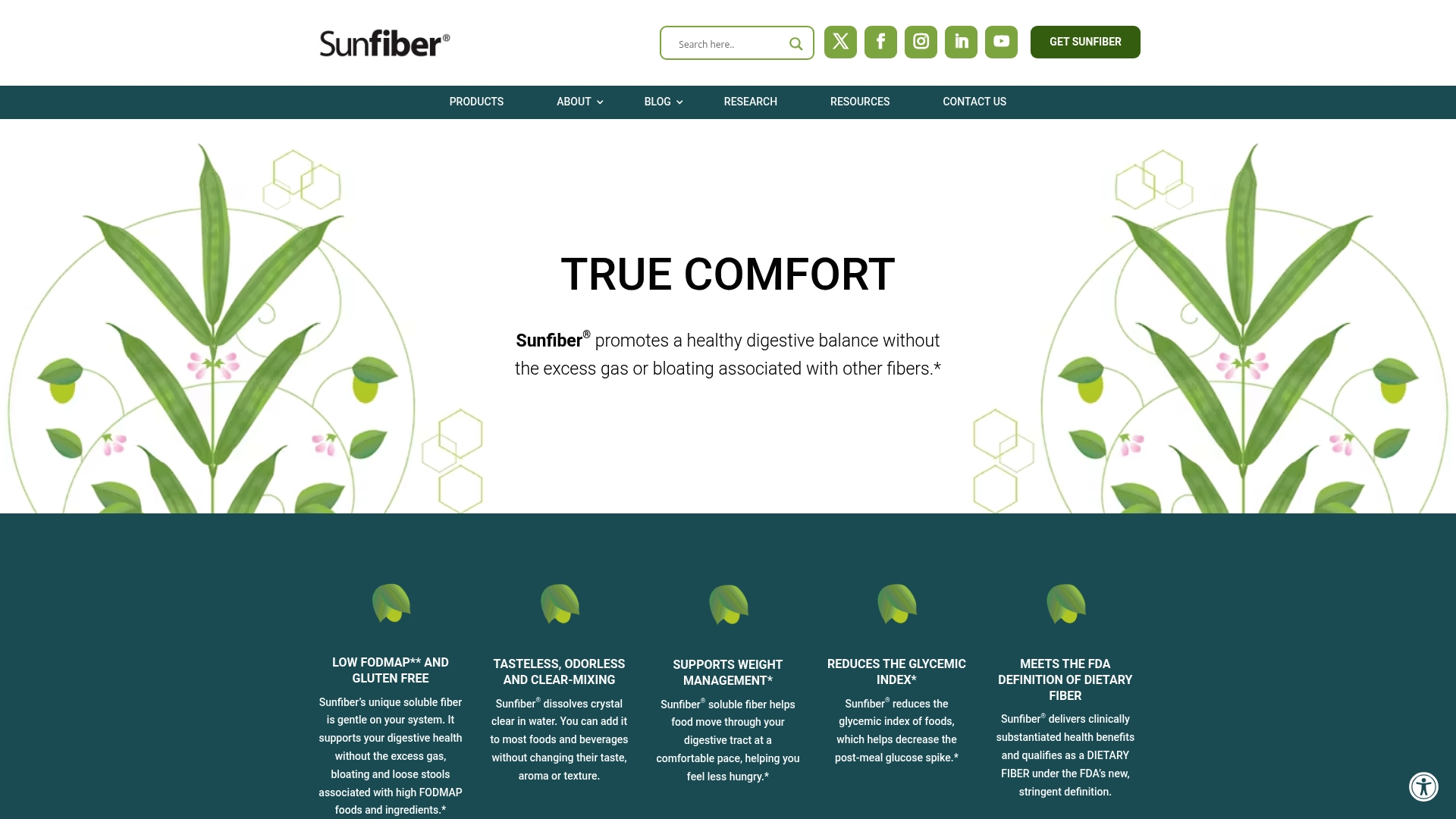 https://sunfiber.com