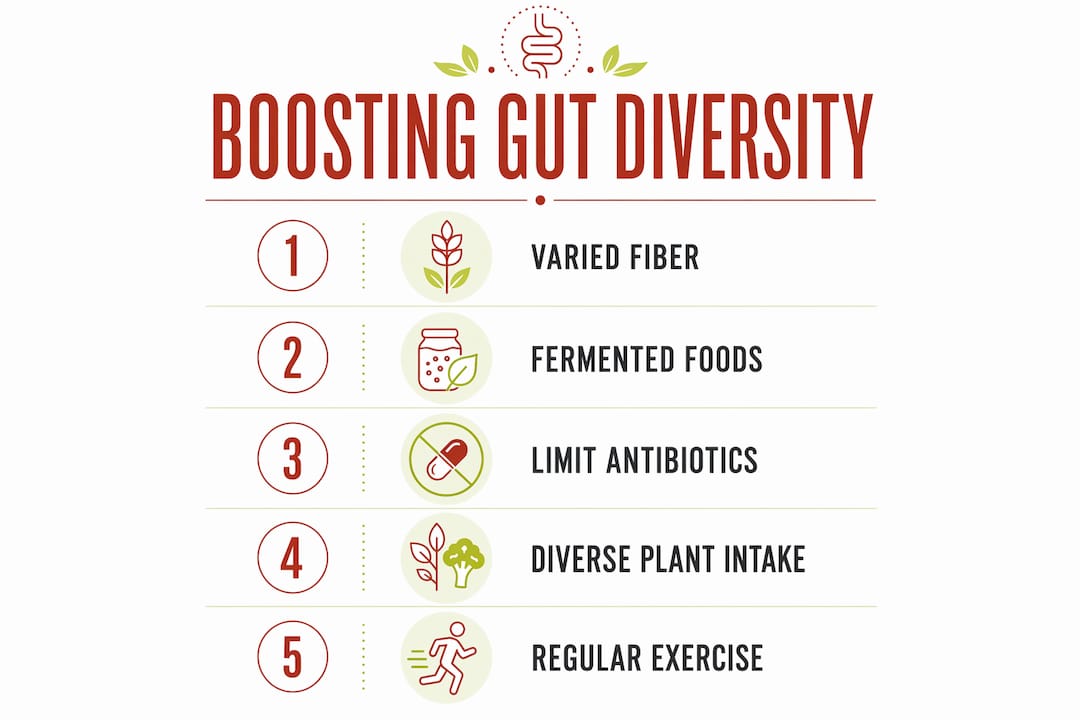 Infographic illustrating ways to boost gut bacteria diversity