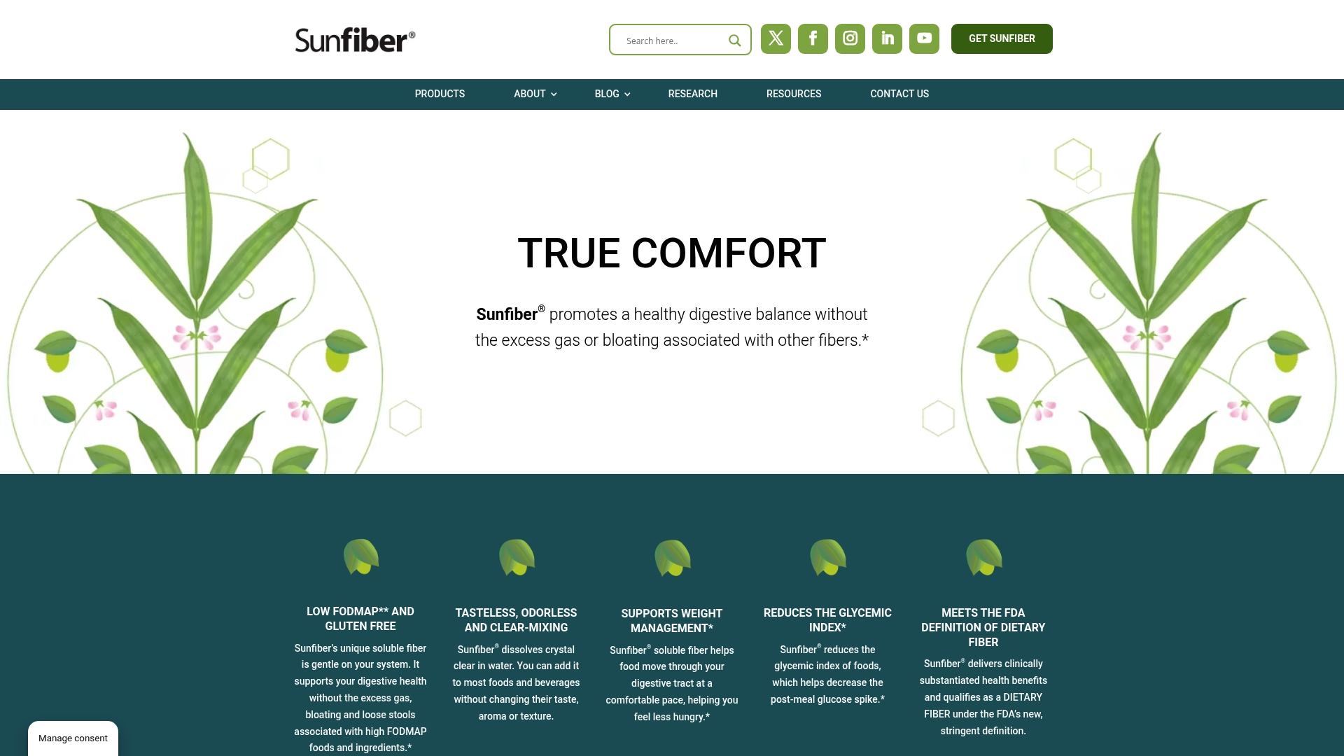 https://sunfiber.com
