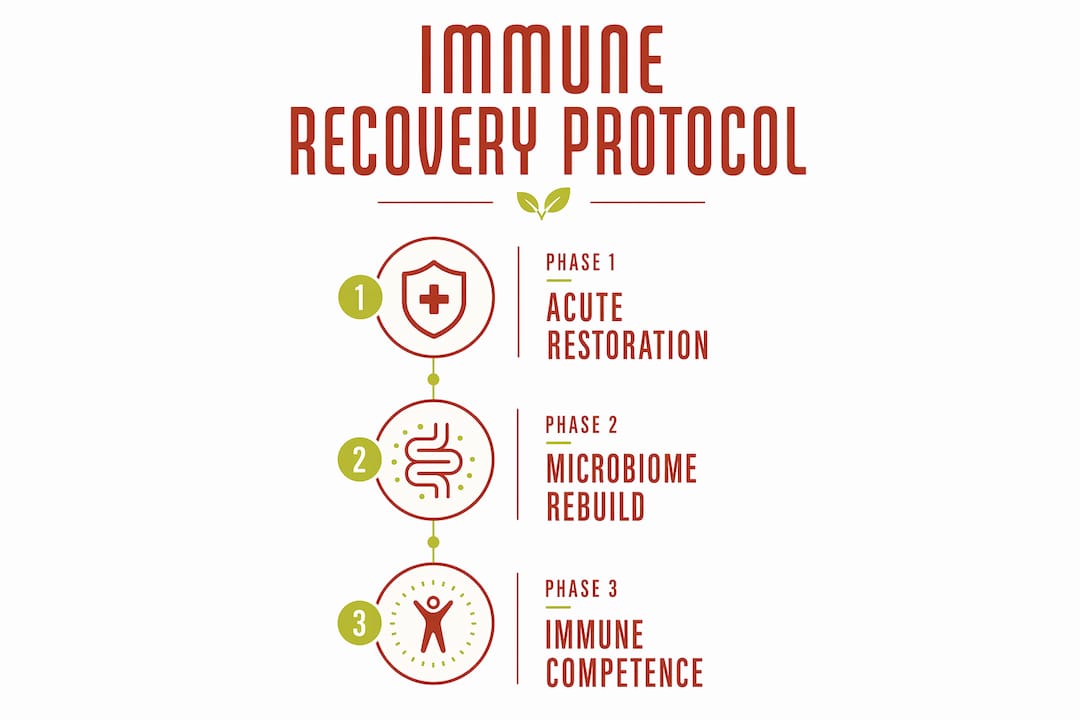 Infographic illustrating immune supplement protocol phases