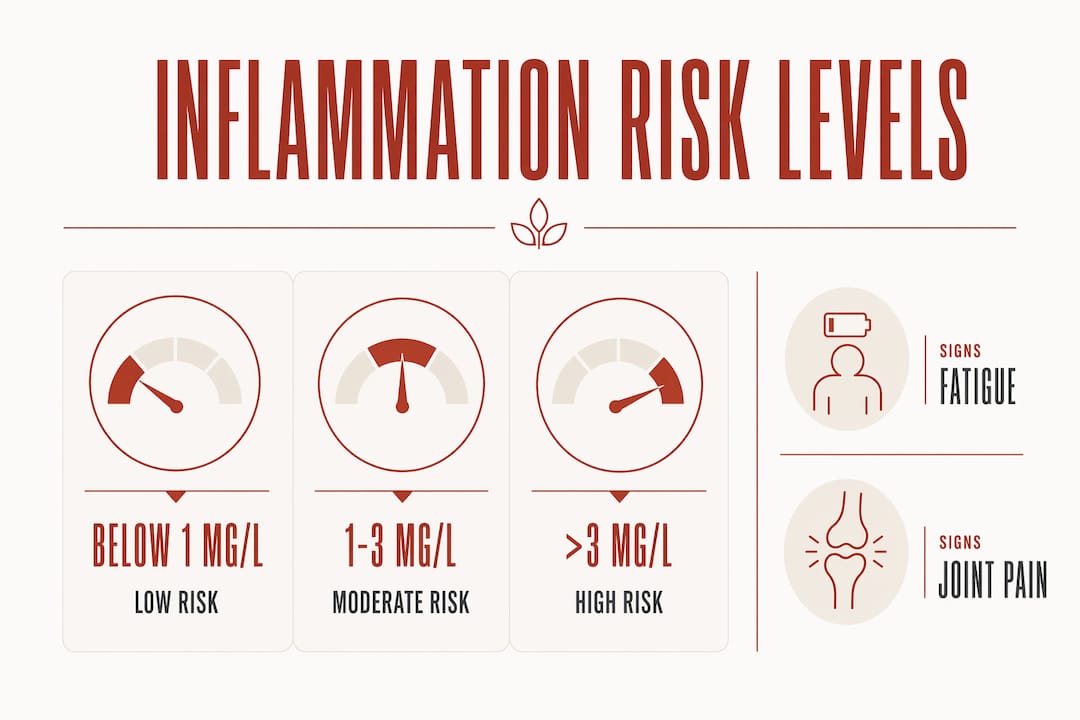 Infographic displaying inflammation risk levels and signs
