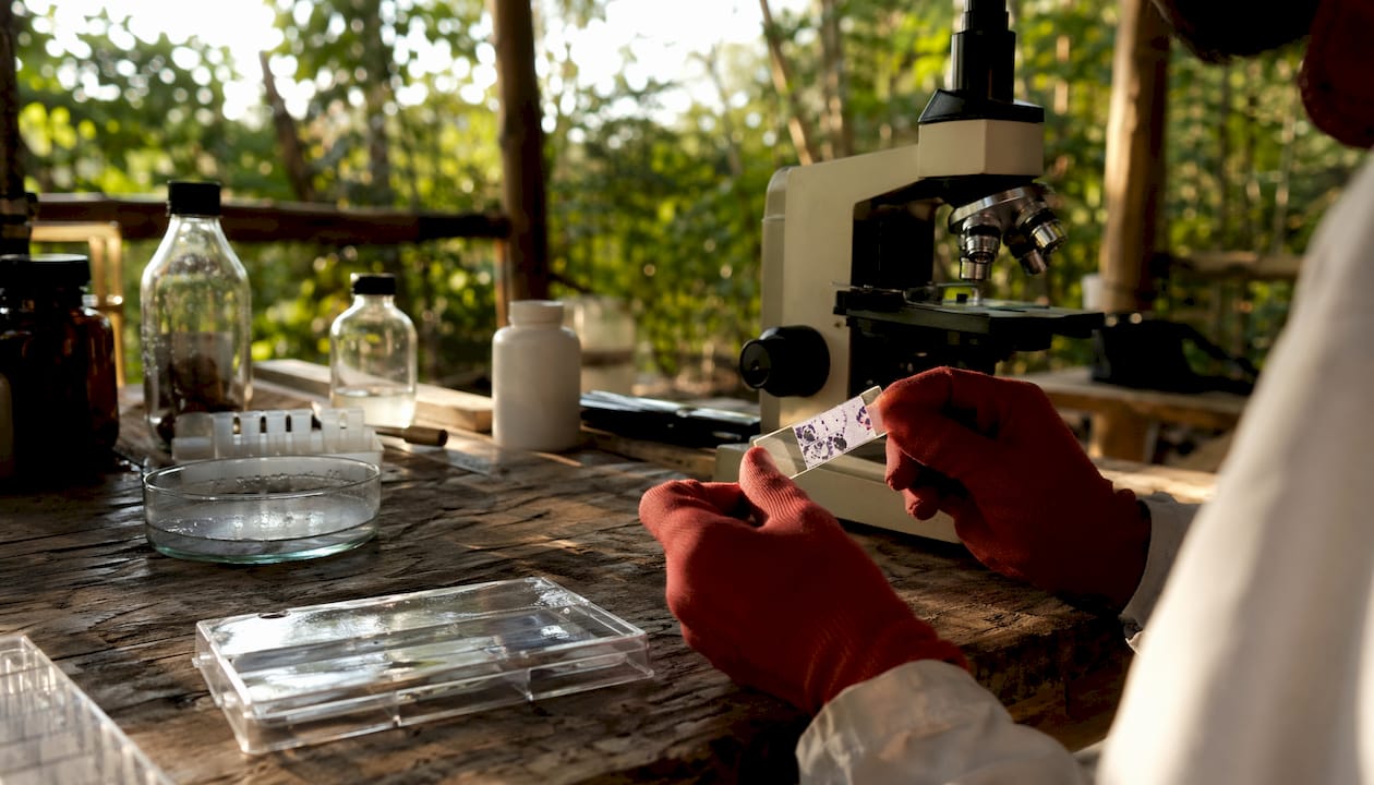Hands handling microscope slide in lab