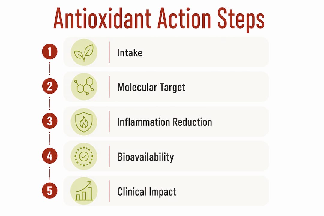 Infographic outlining antioxidants action steps