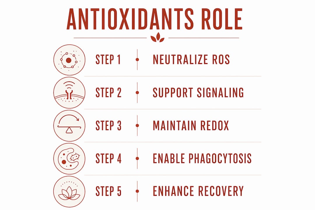 Infographic showing antioxidant immune support steps