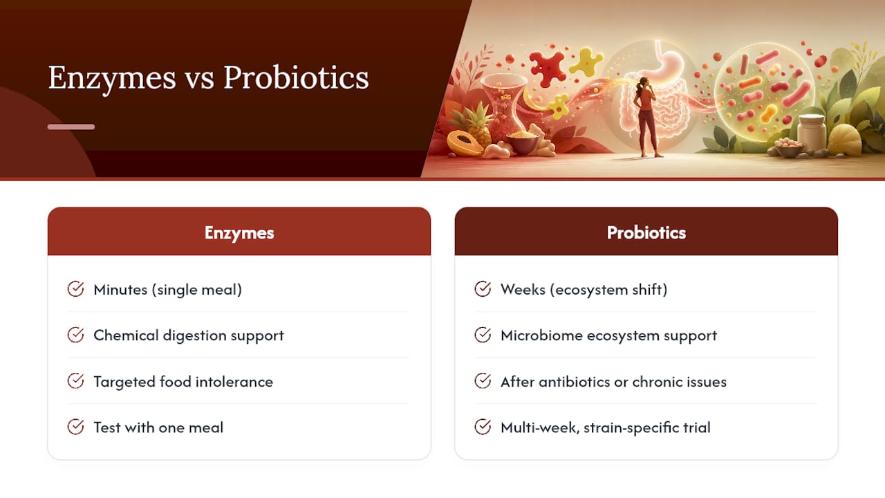 Digestive enzymes versus probiotics comparison