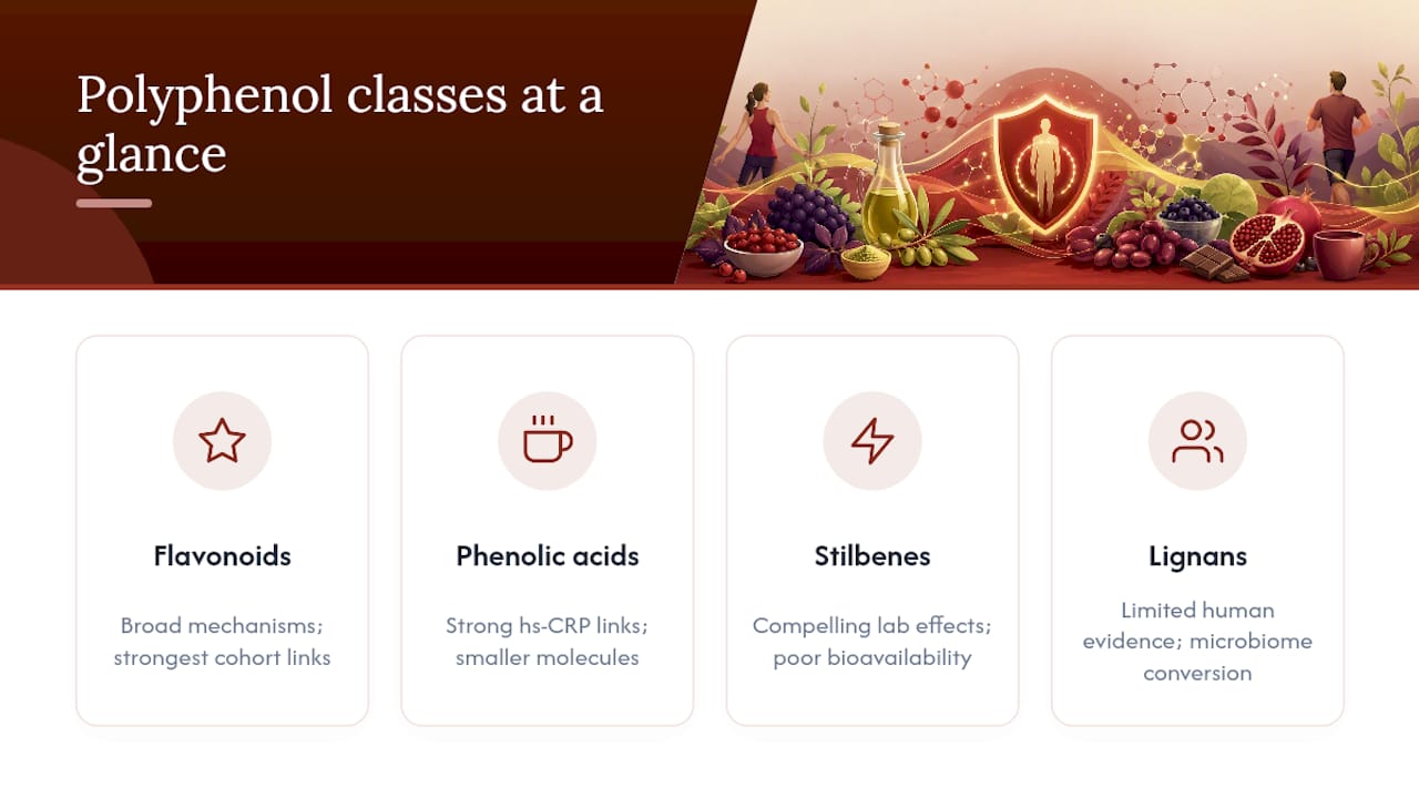 Four polyphenol classes and food sources