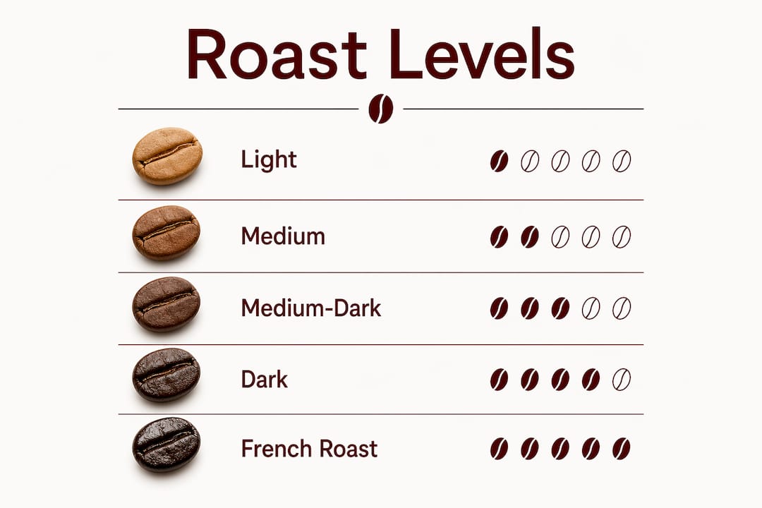 Infographic illustrating coffee roast levels progression