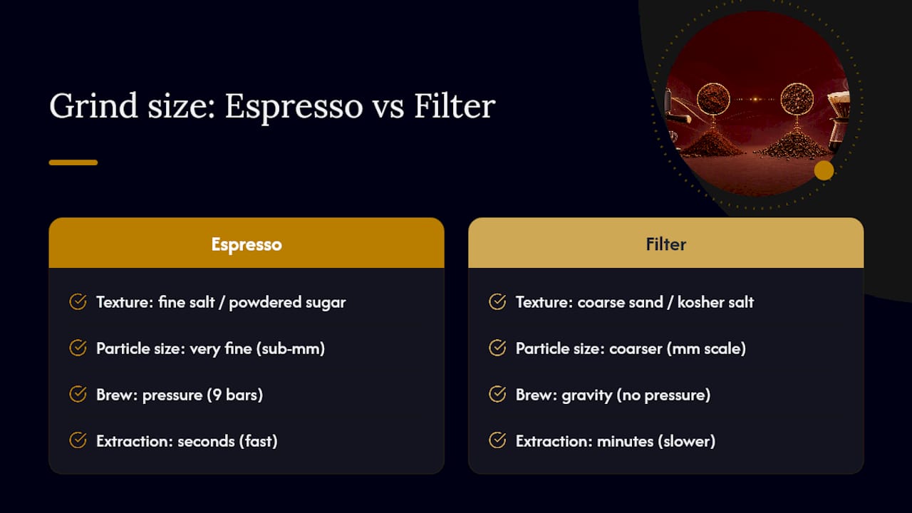 Visual comparison of espresso and filter grind sizes