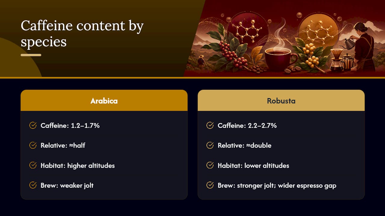 Diagram comparing caffeine content in Arabica and Robusta