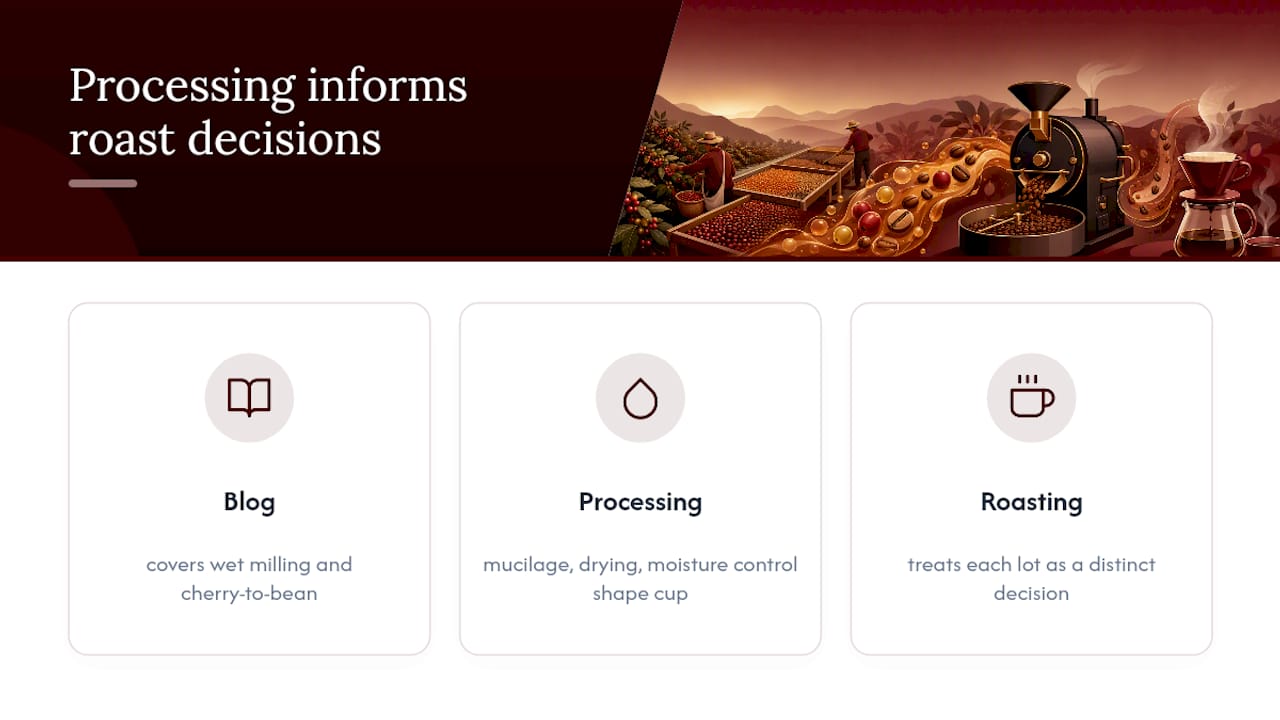 Why Esprit Kaffe Pays Close Attention to Processing Detail — overview diagram