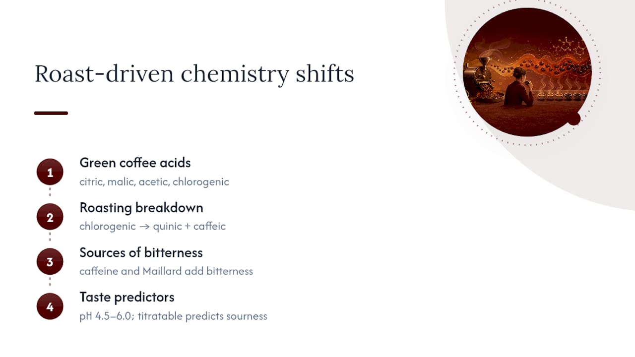 Coffee roast chemistry and acidity comparison