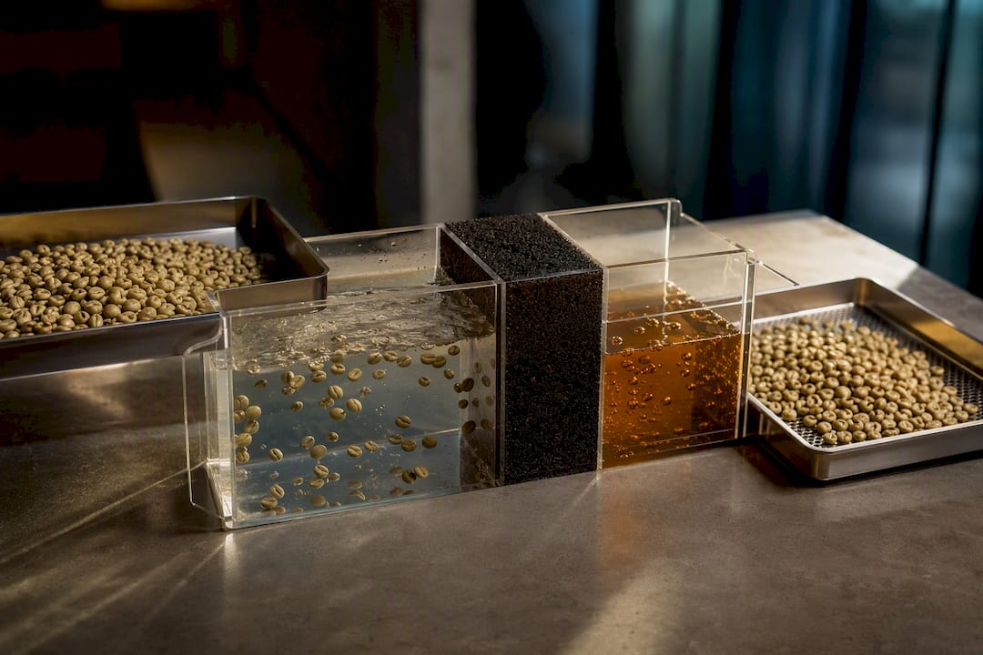 Water filtration process for decaffeinated coffee beans
