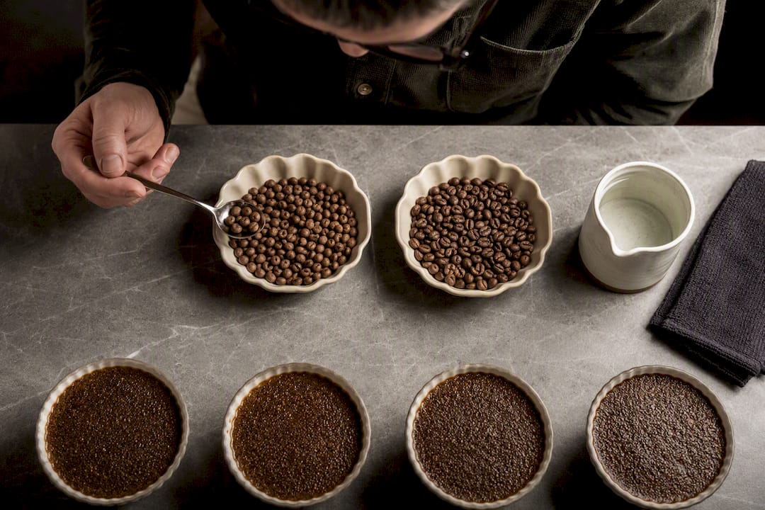 Side-by-side peaberry and flat bean cupping
