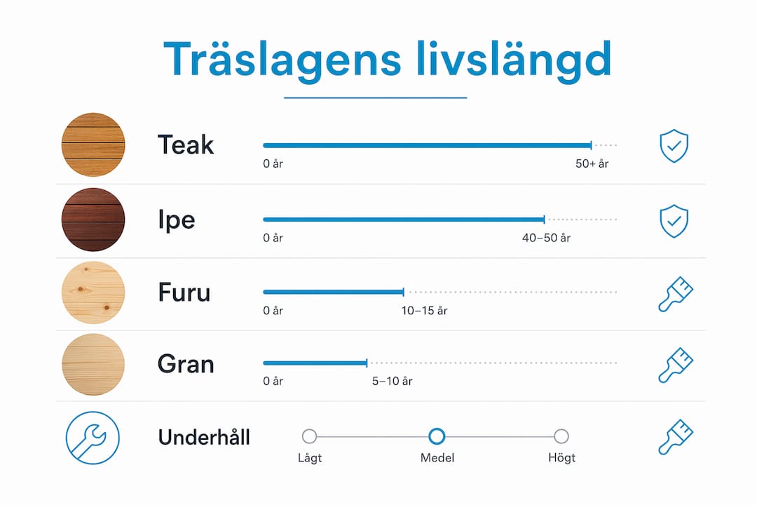 Så länge håller olika träslag – en guide till livslängd och skötsel av utemöbler