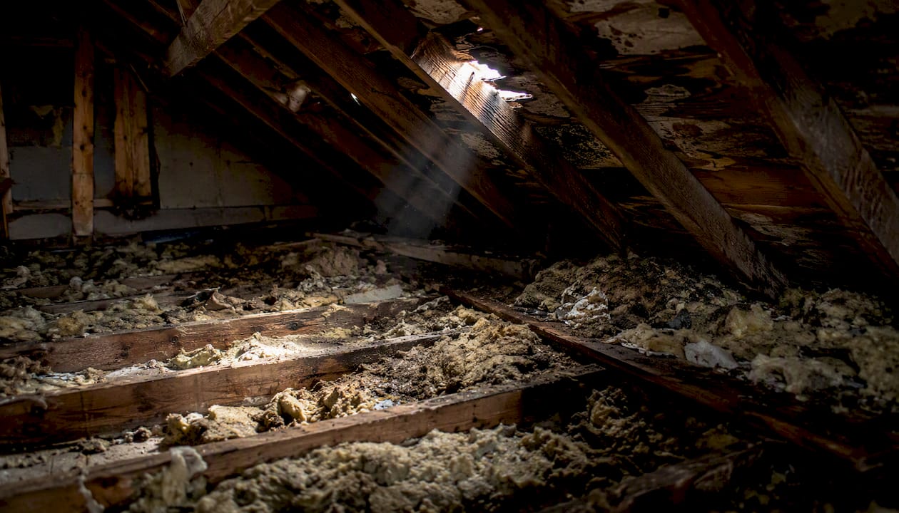 Attic with wet insulation and daylight through damaged decking