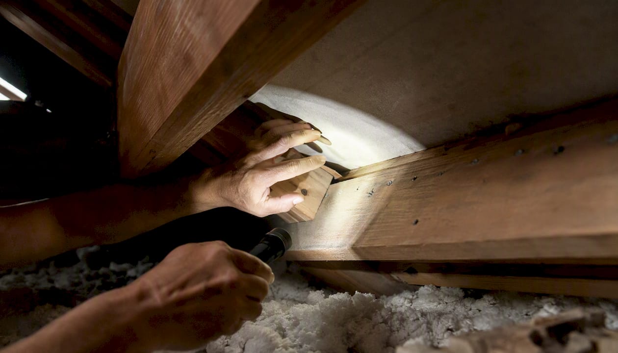 Attic inspection with flashlight for wind mitigation