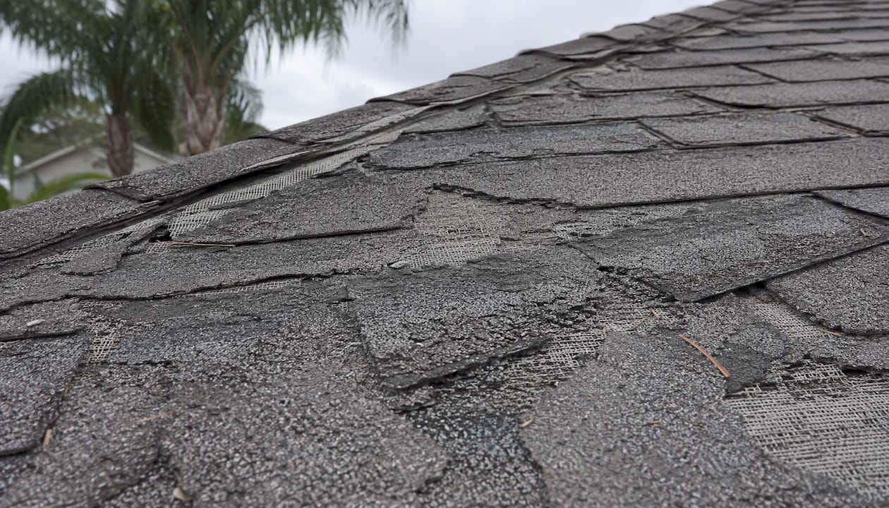 Close-up of worn shingles with granule loss
