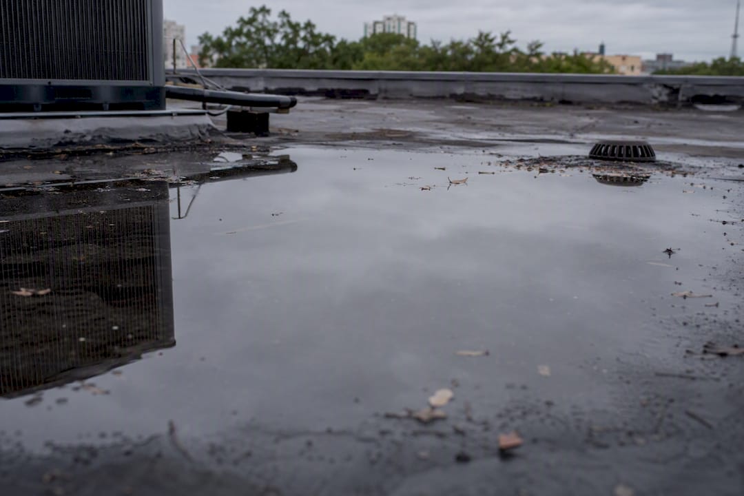 Stop Flat Roof Ponding in Tampa Bay: 5 Fixes Ranked by Permanence