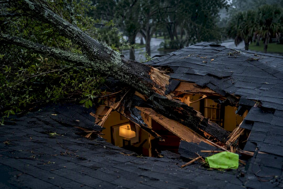 Tree limb breaking through Florida home roof
