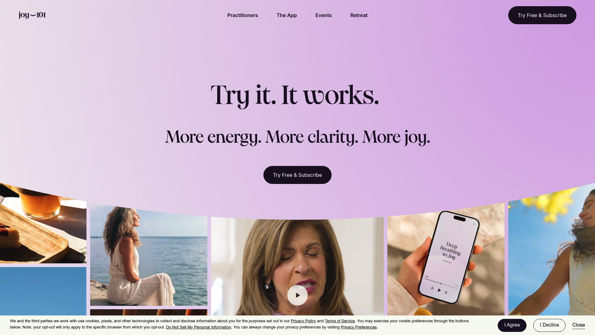 https://joyful-habits.com