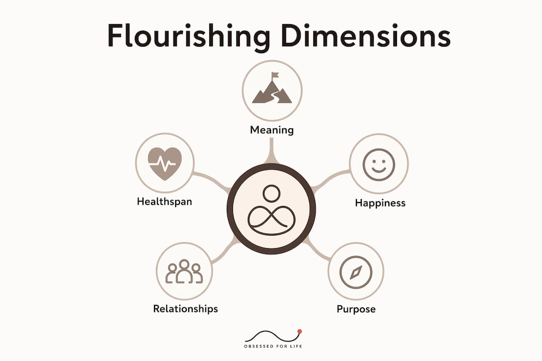 Infographic showing five dimensions of late-life flourishing