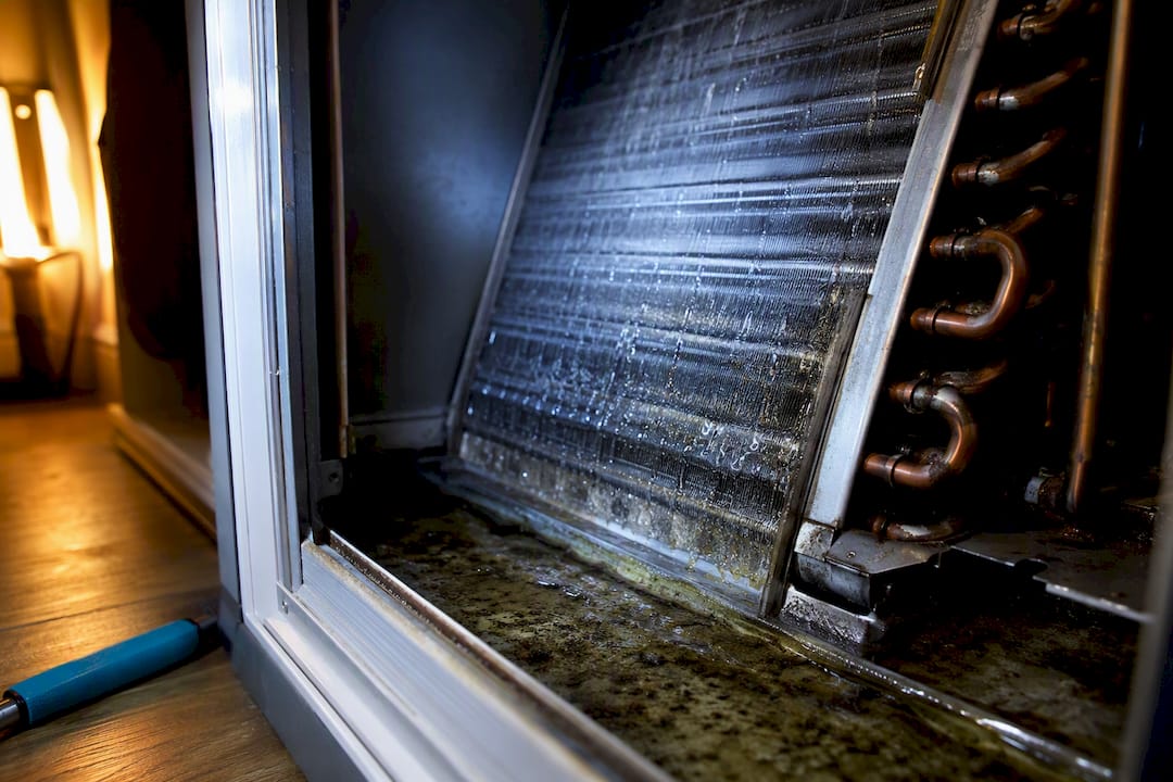 Stop Dirty Sock Syndrome: Field Tested Fixes Homeowners Can Use