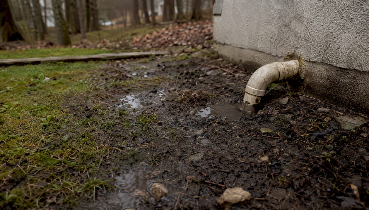 Warning signs of septic backflow near lateral pipe