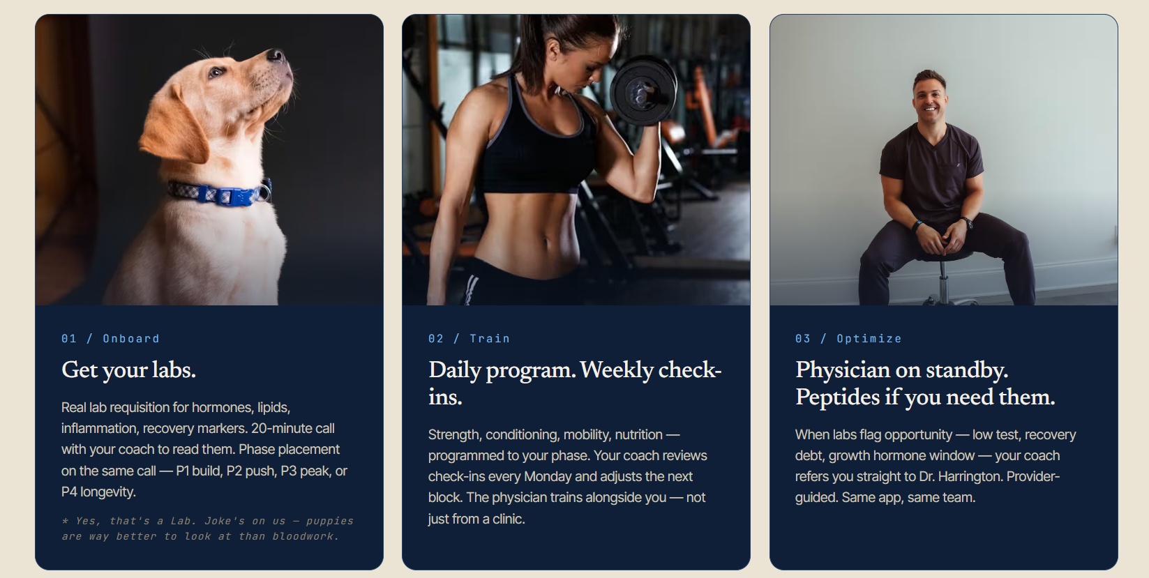 https://gohollyfit.com