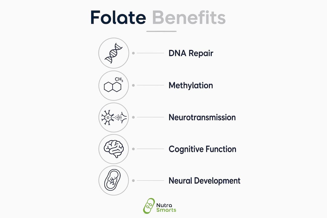 Infographic outlining folate benefits for brain health