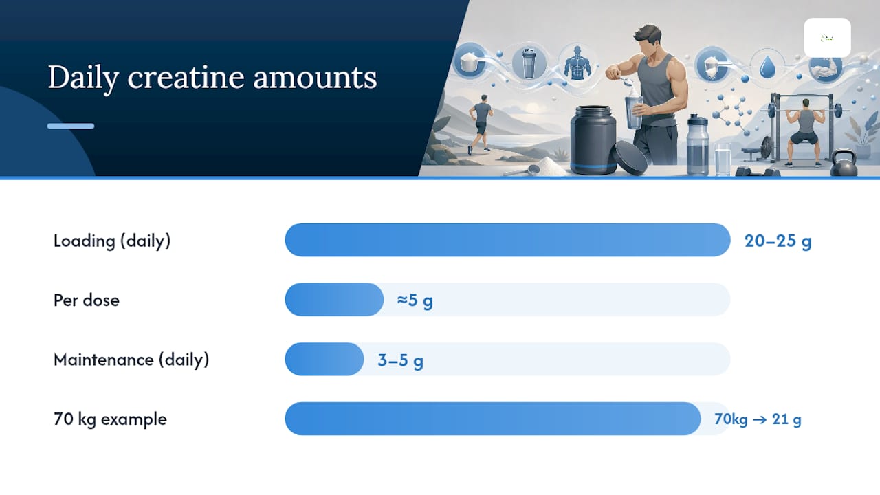 How to Do a Creatine Loading Phase: Step-by-Step Protocols and Variations — overview diagram