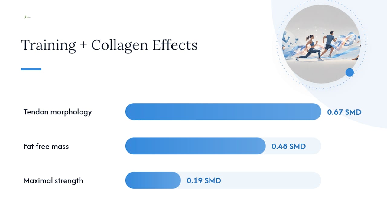 Effect sizes for collagen and training outcomes