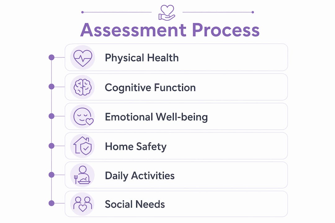 Infographic showing home care assessment domains in flow