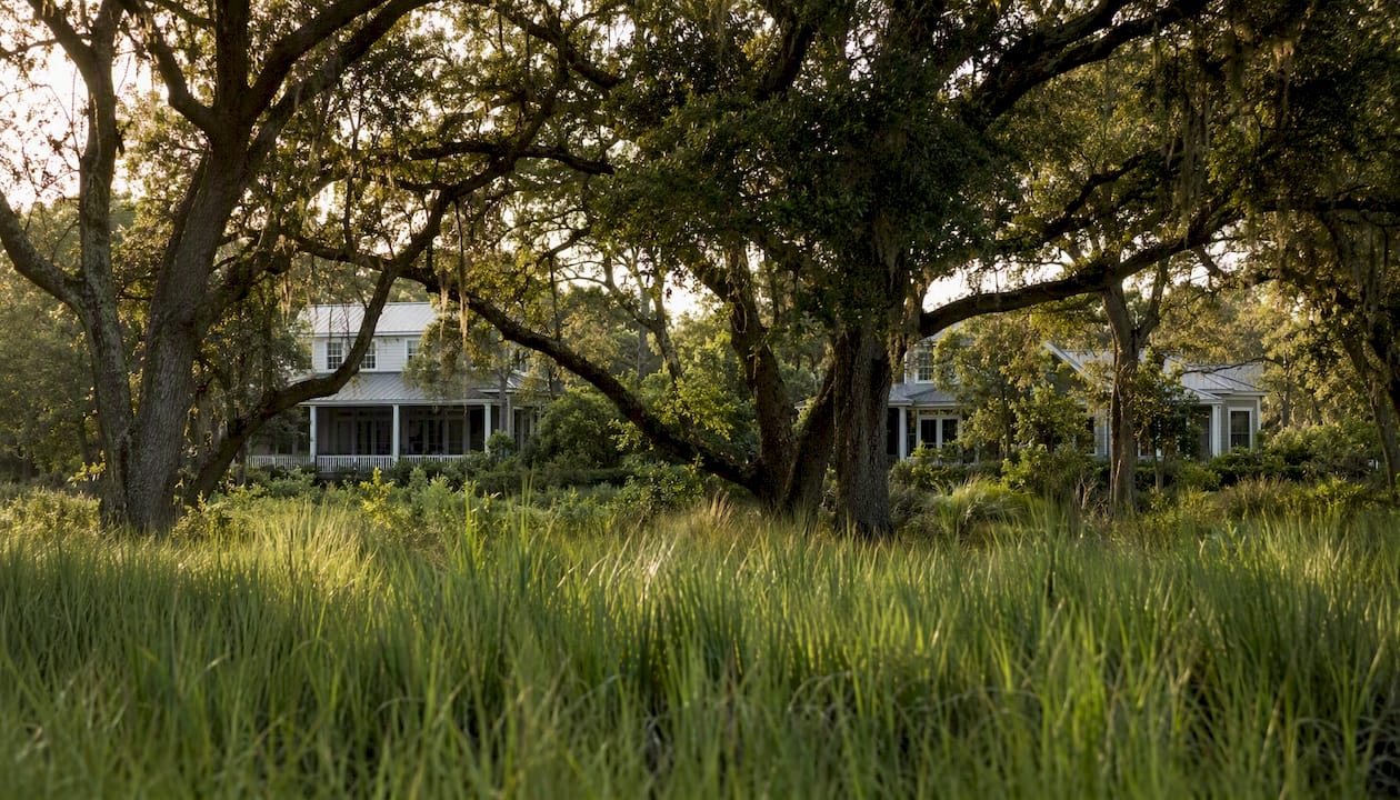Coastal marsh and forest preserved within residential area