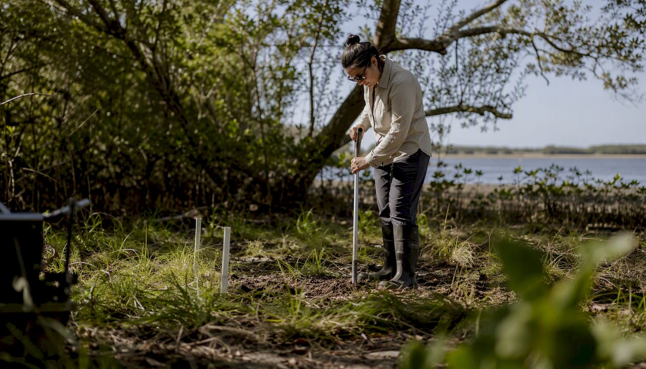 Planner conducting ecological soil survey outdoors