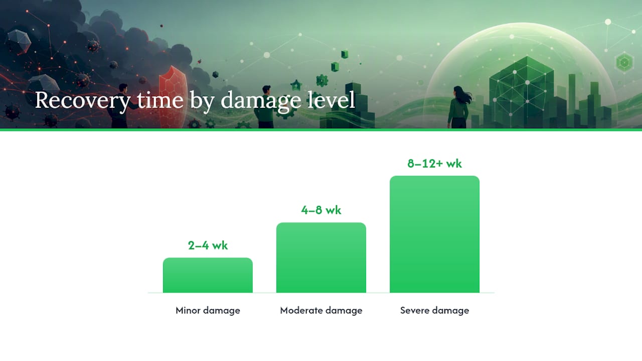 Recovering From Sender Reputation Damage — overview diagram