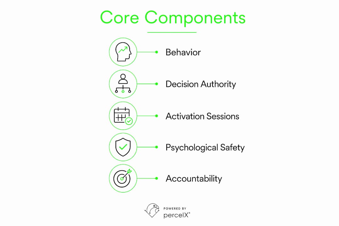 Infographic with core components of customized transformation plan