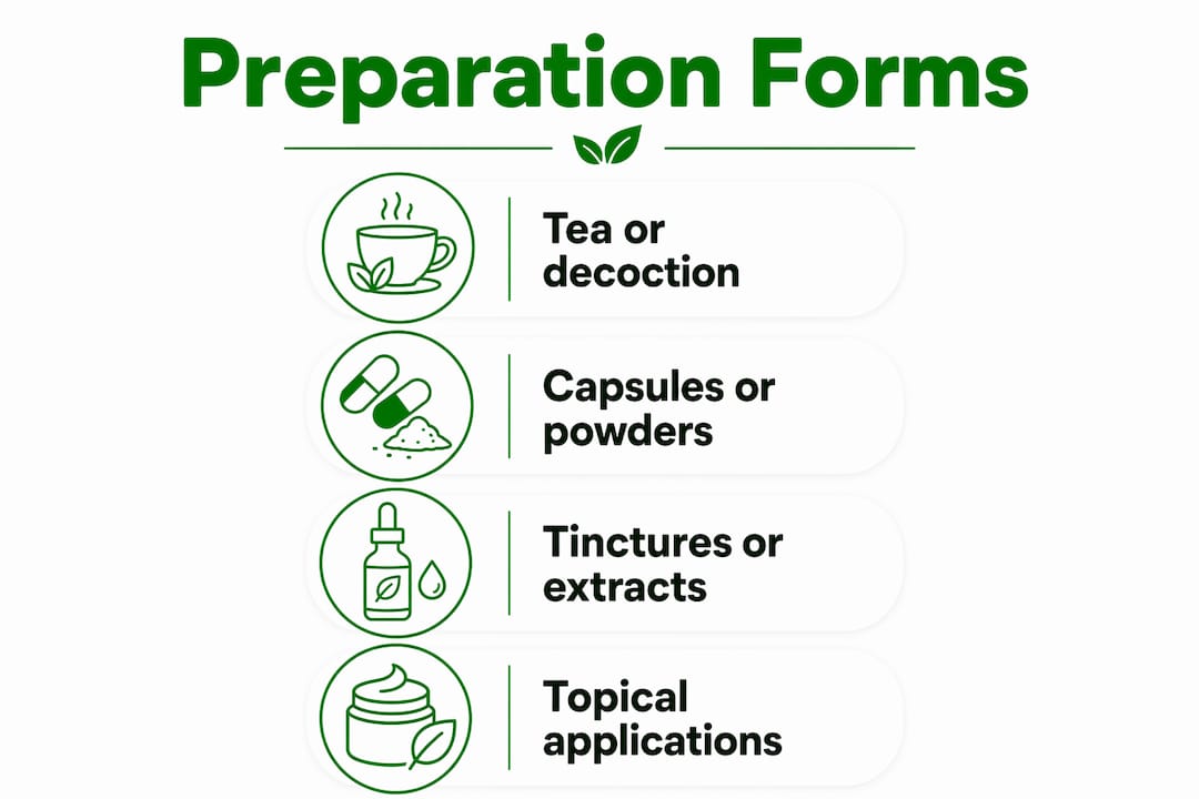 Infographic showing forms of herbal aphrodisiac preparation