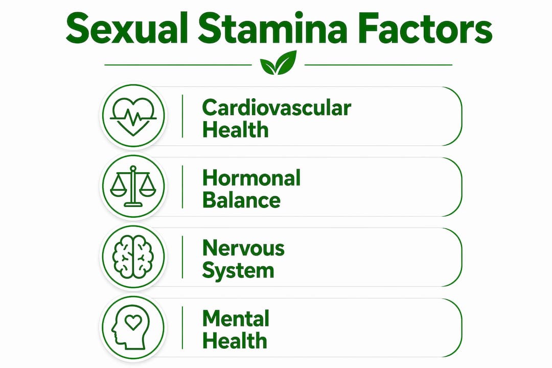 Infographic illustrating factors influencing sexual stamina