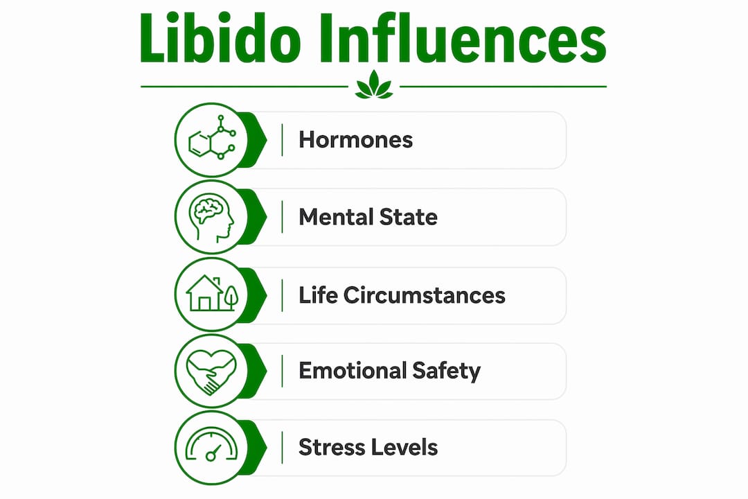 Infographic detailing key libido influence factors