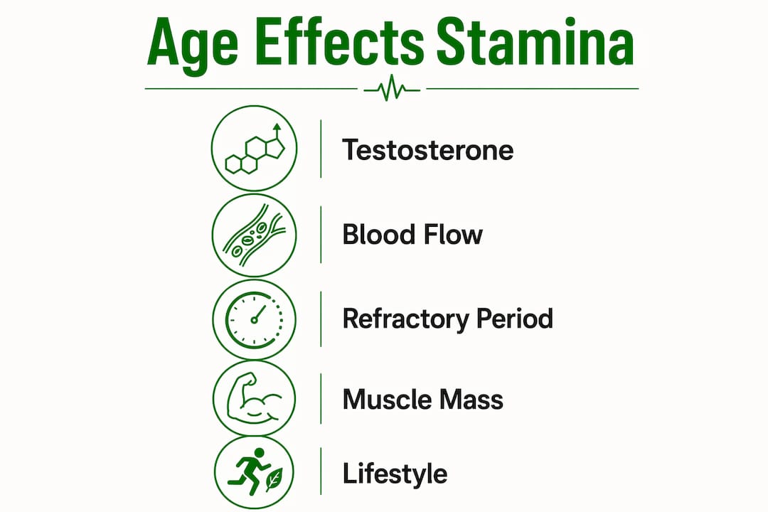 Infographic illustrating key physiological effects on male sexual stamina