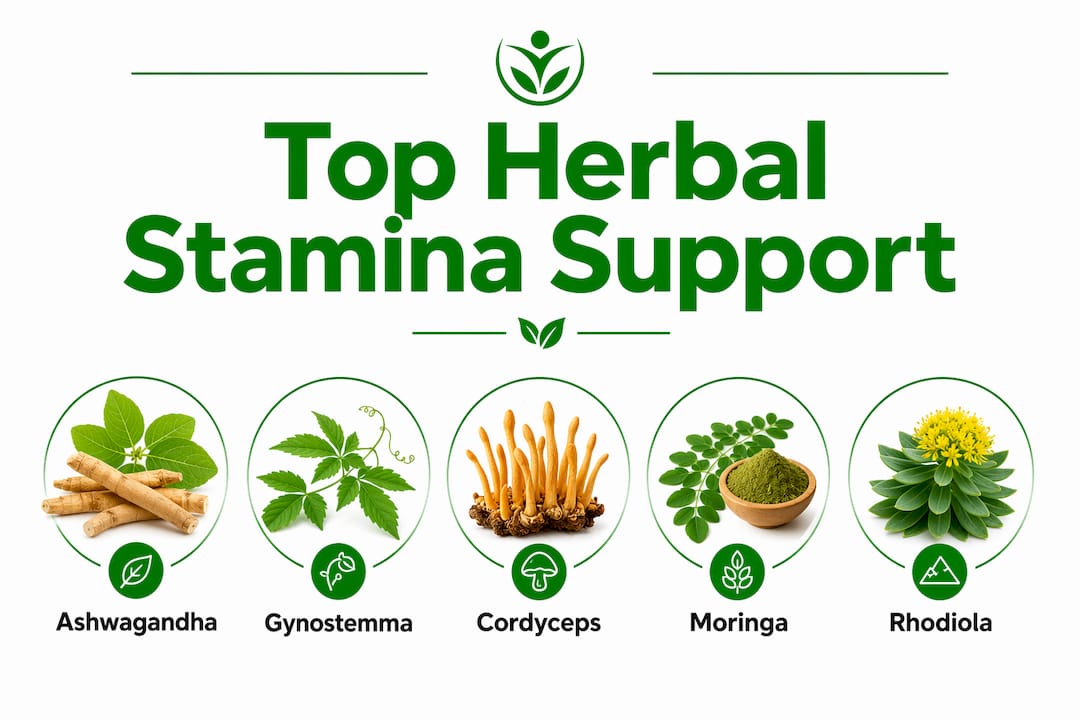 Infographic highlighting key herbs for stamina support