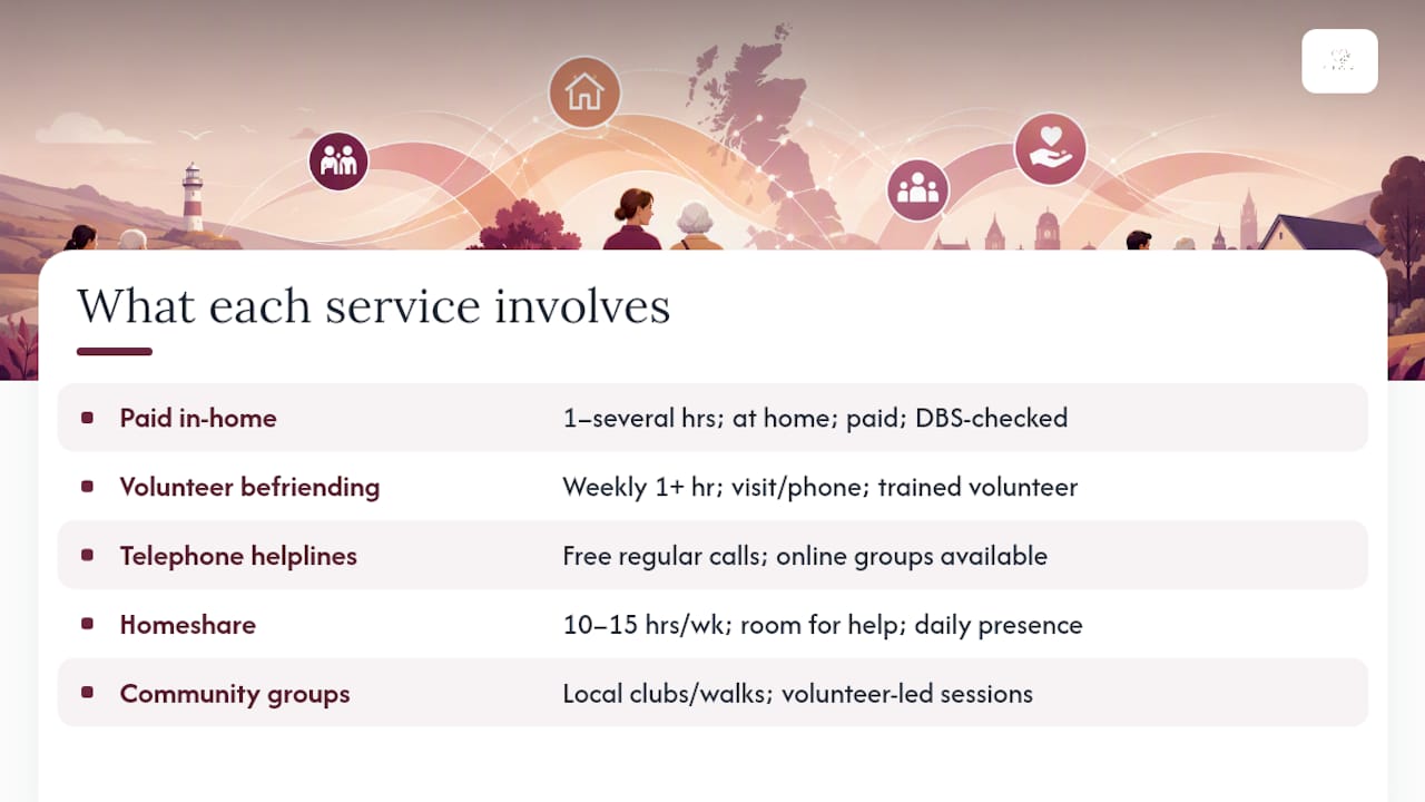 Comparison diagram of UK companionship service types