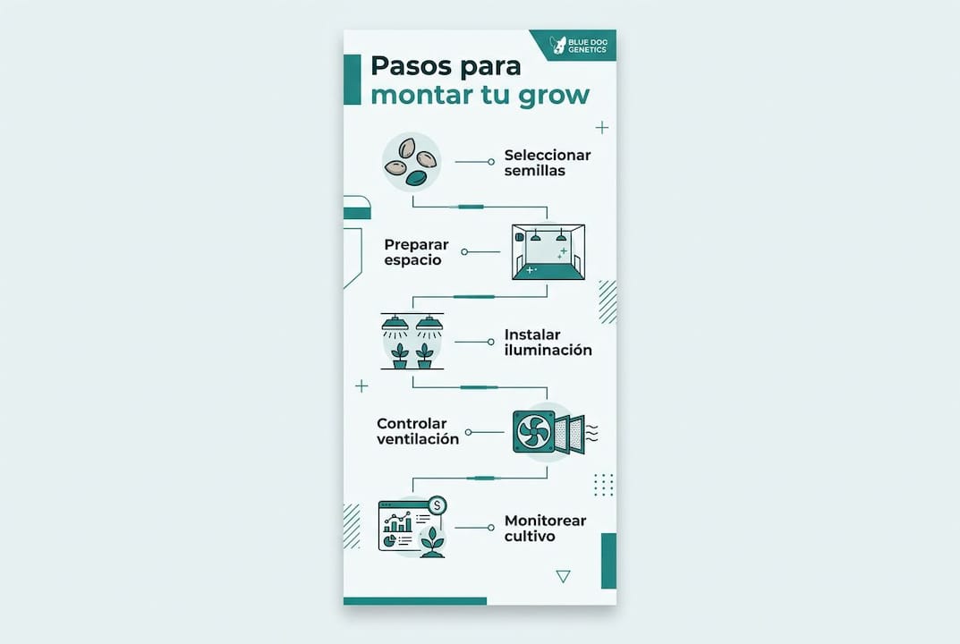 Guía visual con los pasos esenciales para montar tu propio cultivo legal