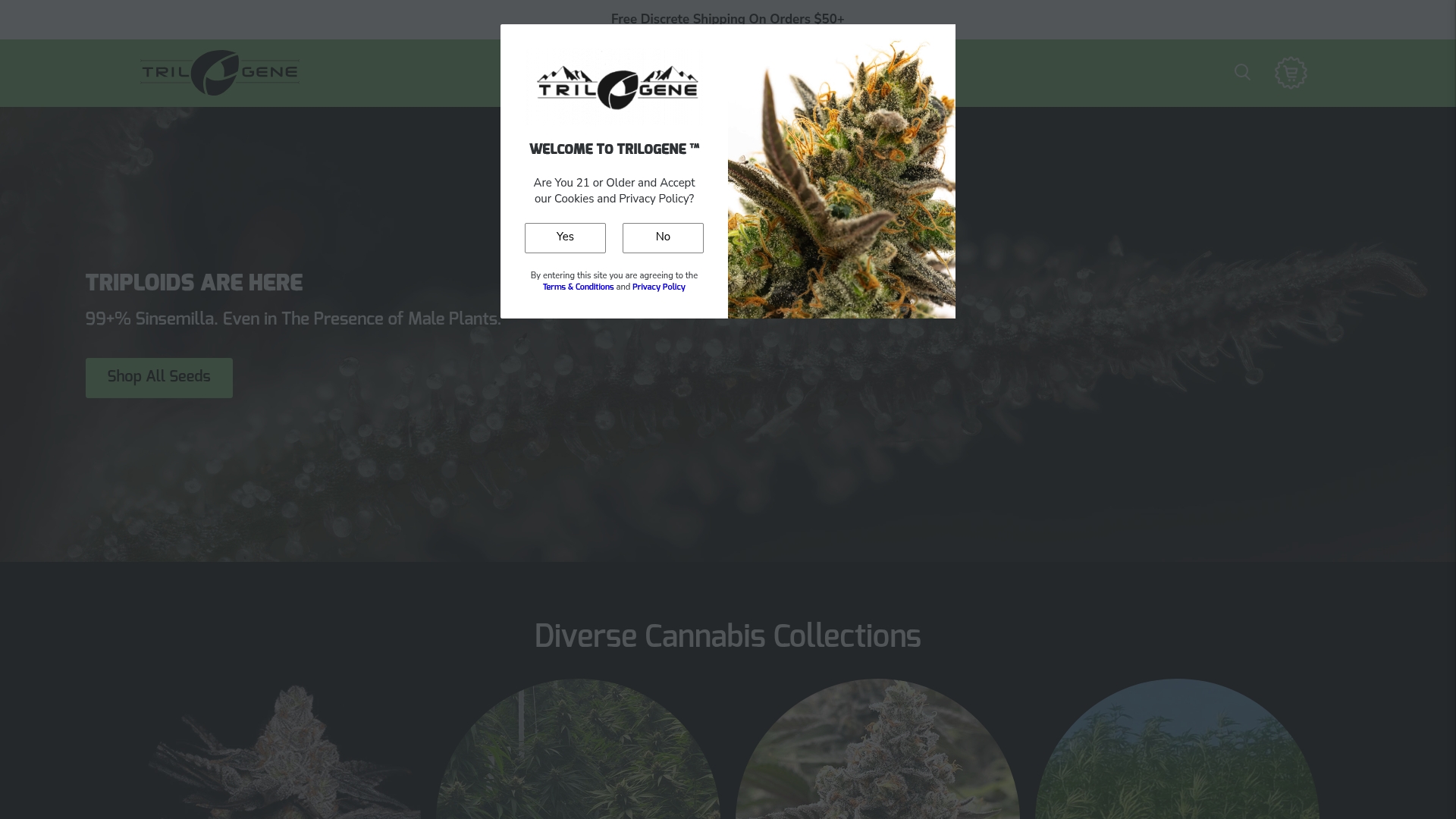 https://trilogeneseeds.com